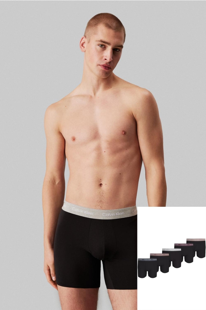 BOXER BRIEF 5PK 000NB3794A B TUR, R GR, GR H, D MV, SD WBS